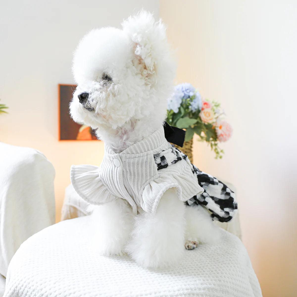 Elegant Bow Dog Dress
