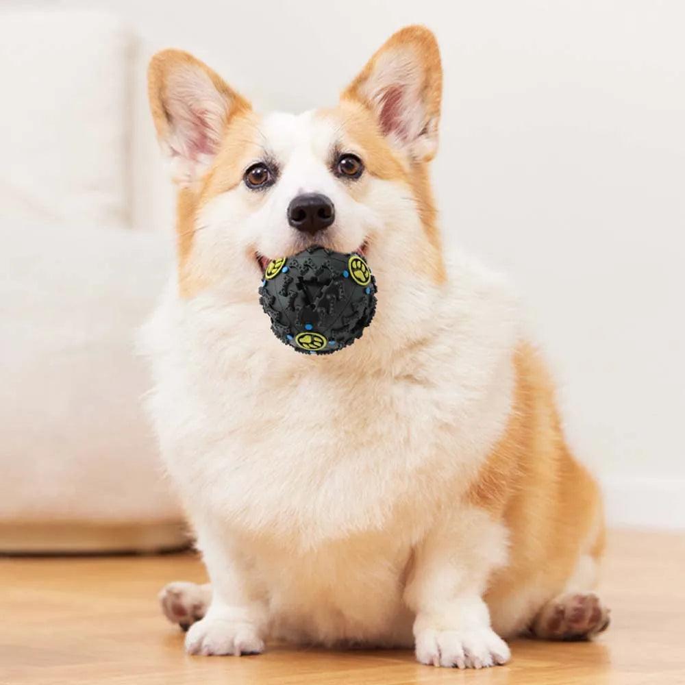 Interactive Treat Dispensing Ball