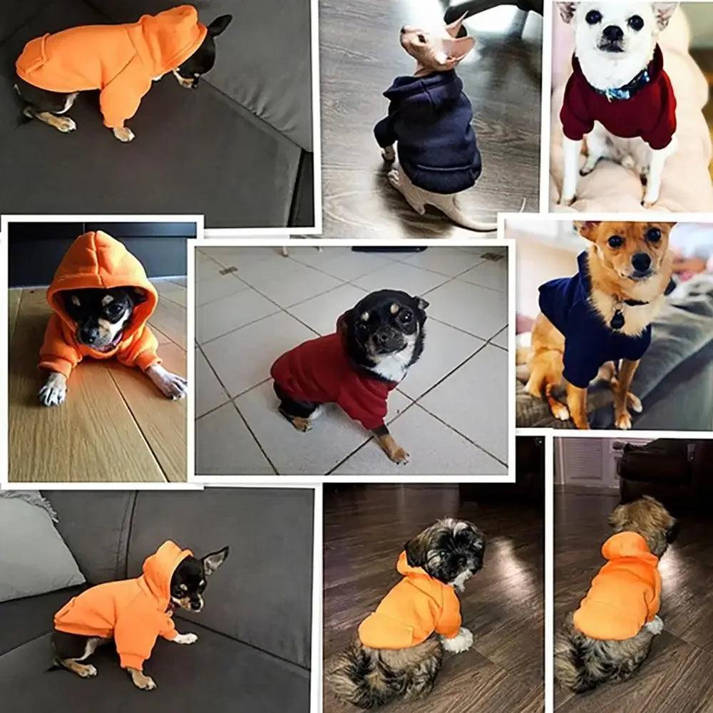 Hooded Puppy Sweatshirt