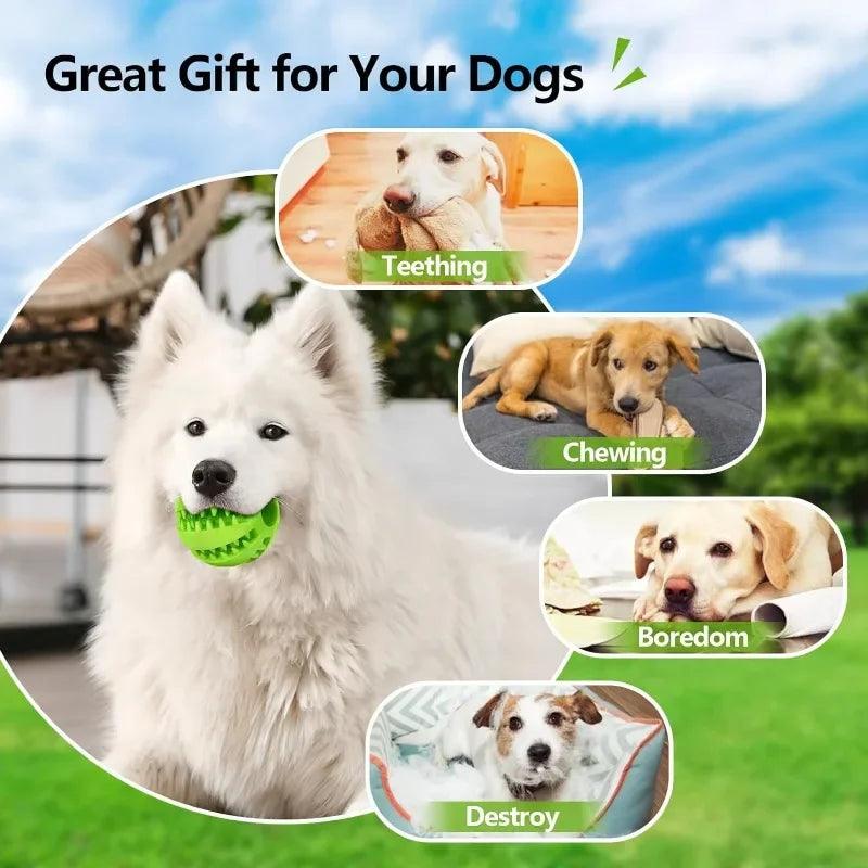 Treat Dispensing Chew Ball