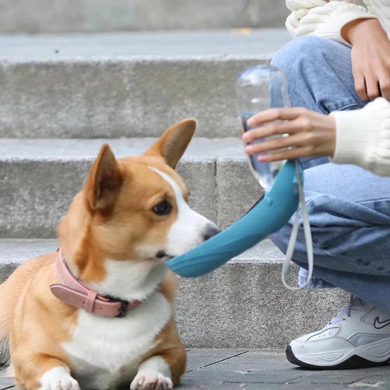 Portable Dog Water Bottle