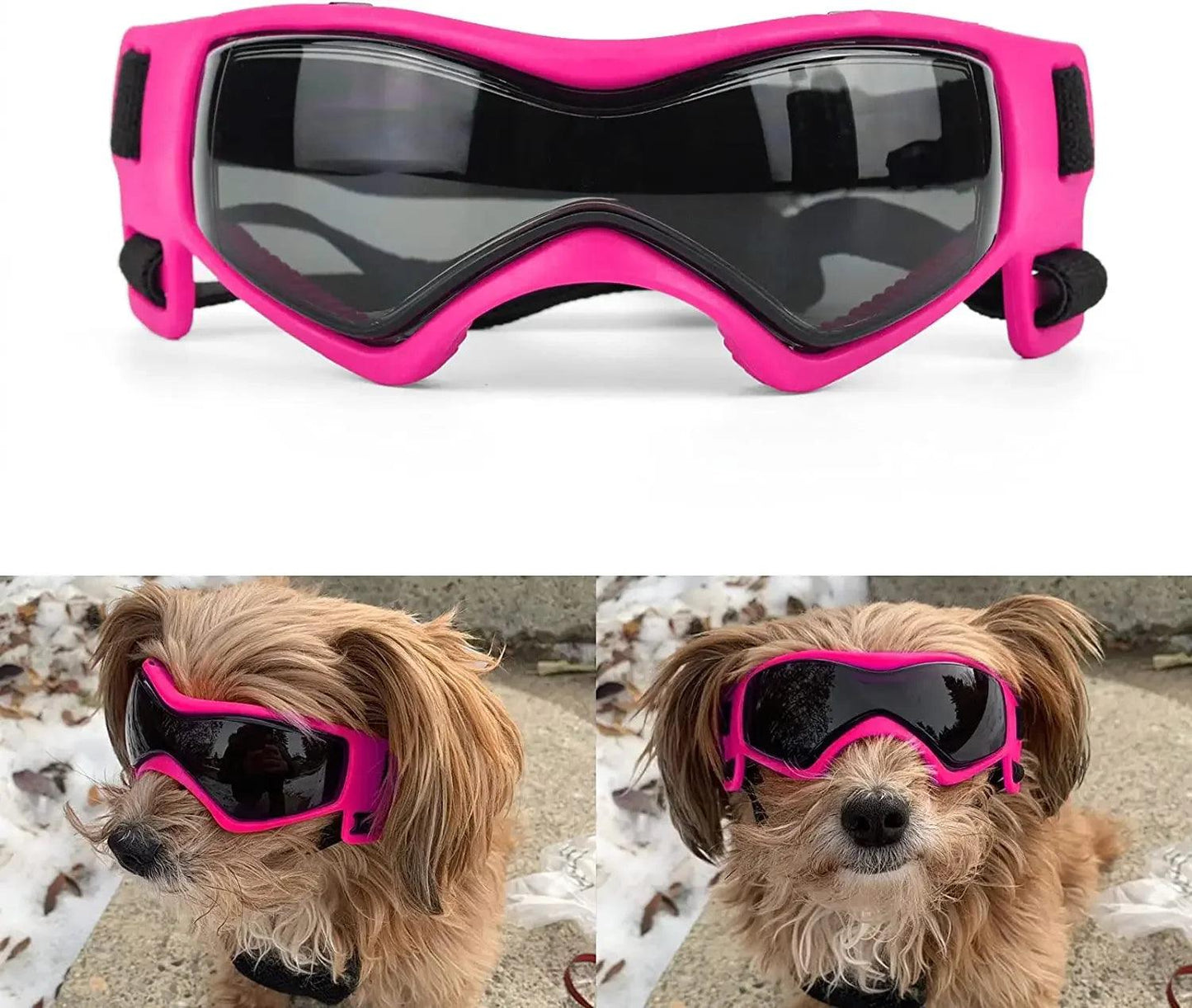 UV Dog Sunglasses for Small Breeds