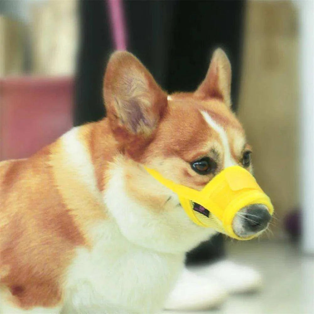 Adjustable Anti-Bark Dog MuzzleDescription:
Ensure peaceful moments with our dog! This adjustable, breathable muzzle controls barking and prevents biting, offering comfort and safety for small toRegal Pet PalaceRegal Pet PalaceAdjustable Anti-Bark