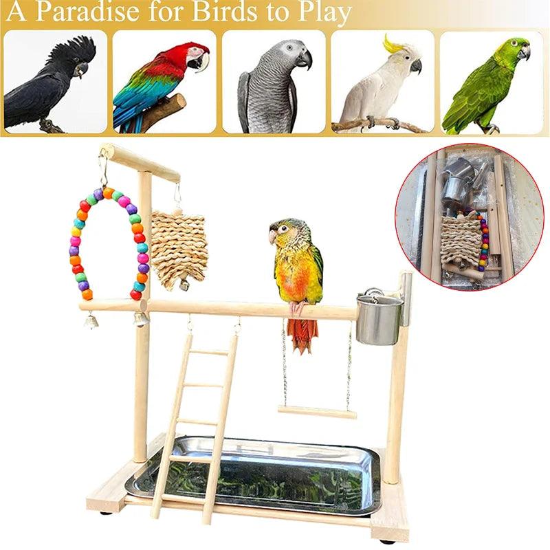 Parrot Playground Activity Set