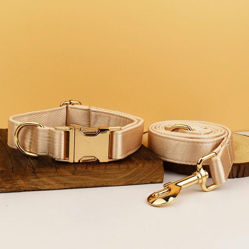 Custom Luxury Designer Dog Set