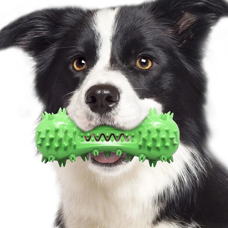 Indestructible Dumbbell Chew Toy