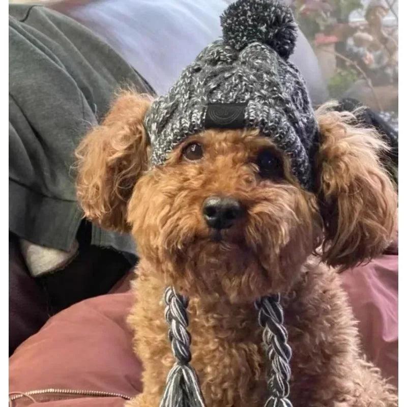 Winter Warm Dog Hat