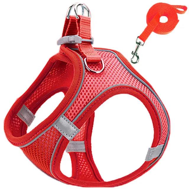 Reflective Cat Harness Set