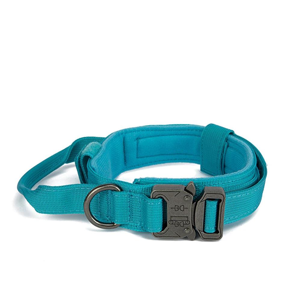 Durable Dog Collar & Leash