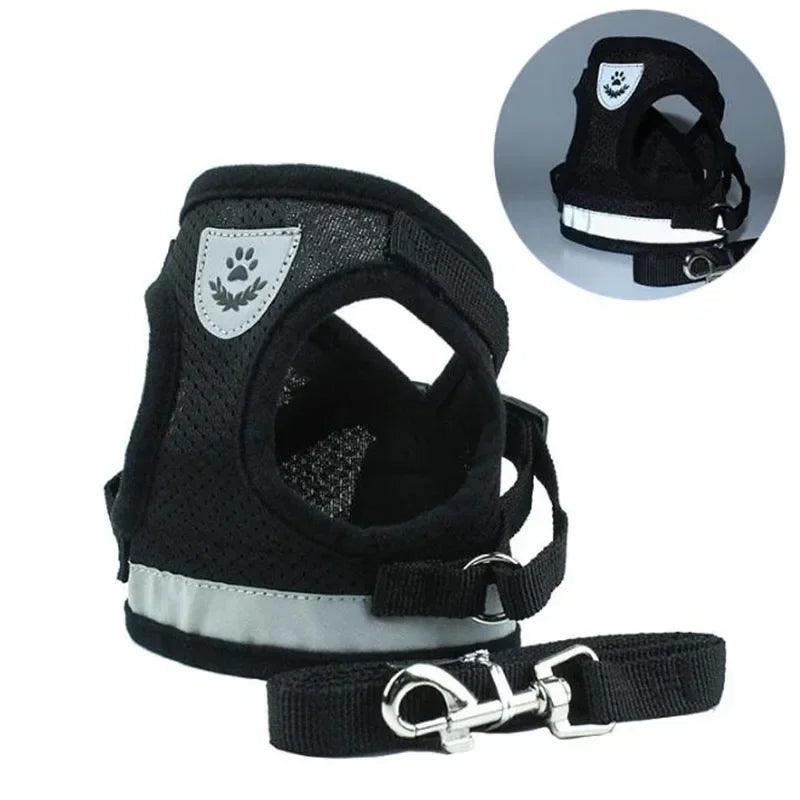 Adjustable Pet Harness & Leash