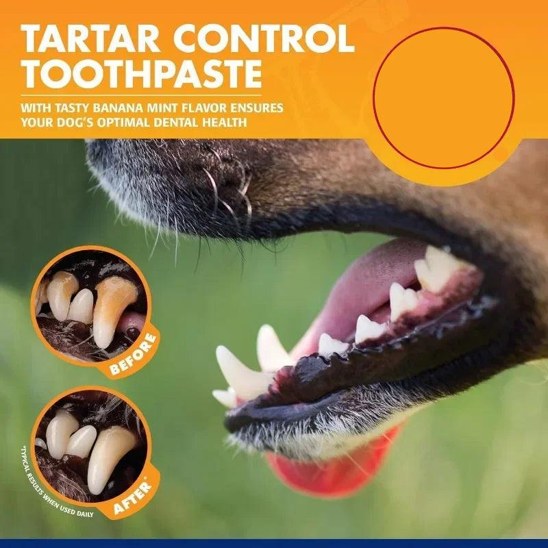 Pet Teeth Cleaning Kit