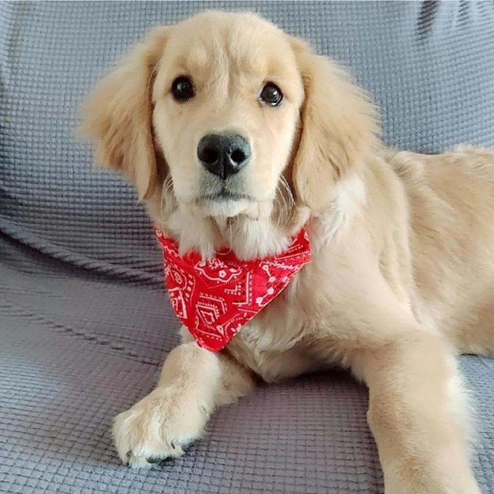 Adjustable Dog Bandana Collar