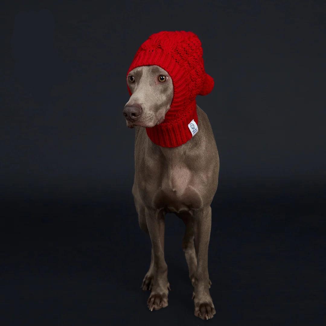 Cozy Pom-Pom Dog Hat