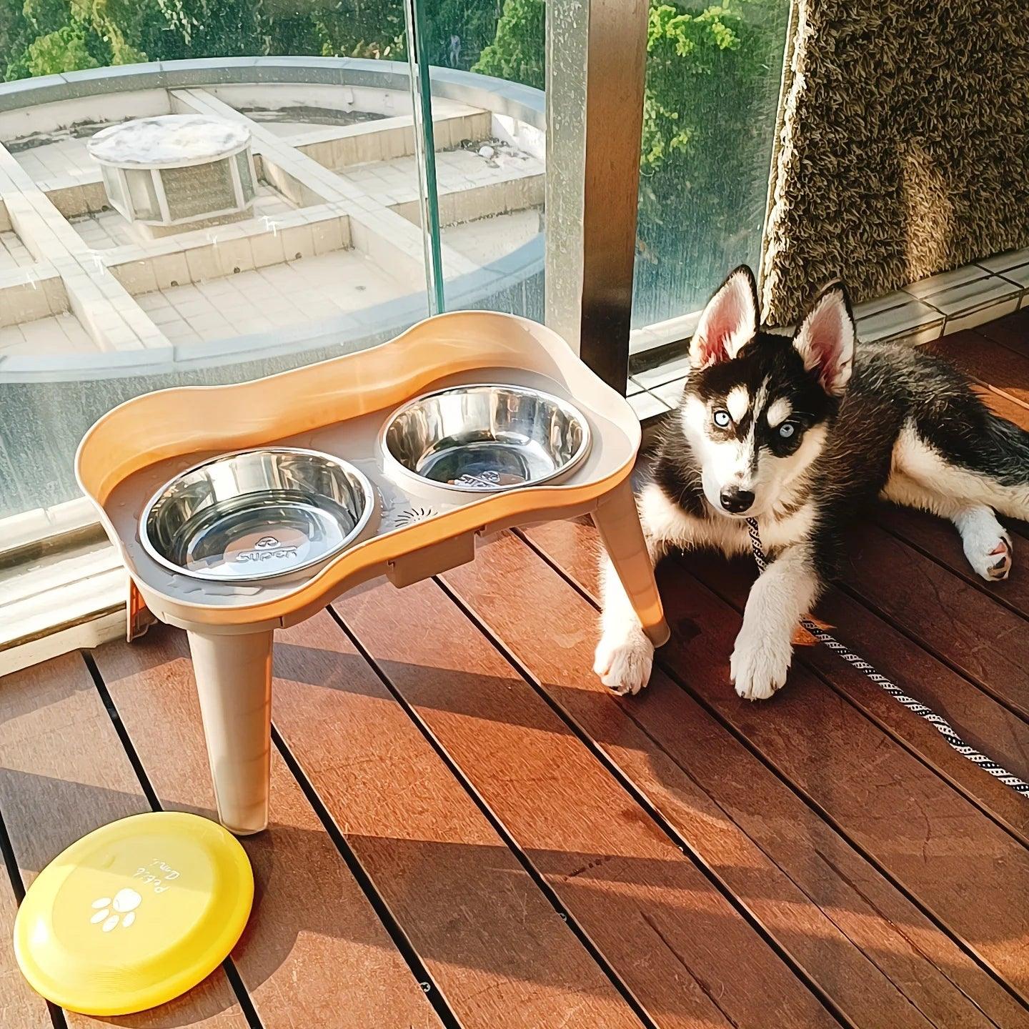 Elevated Dog Feeding Bowls