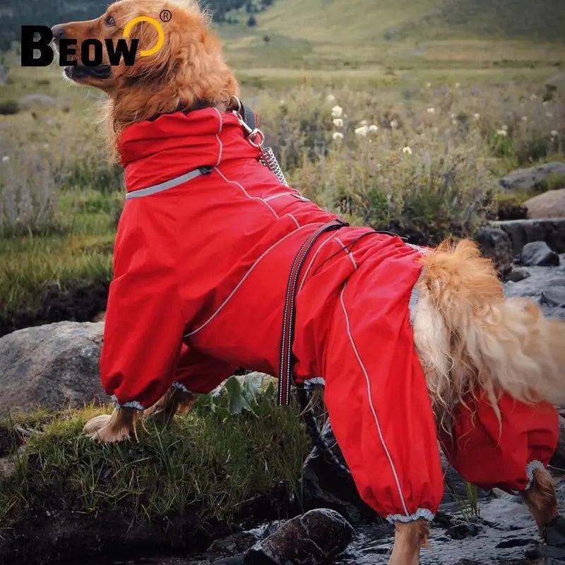 All-Weather Dog Raincoat Suit
