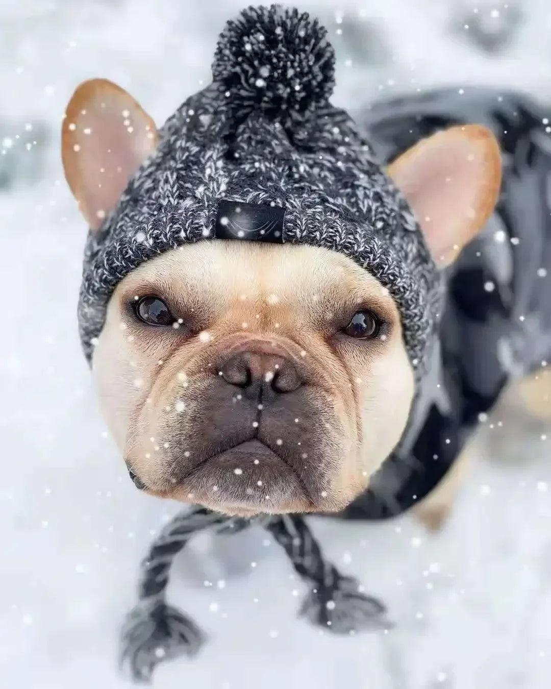 Winter Warm Dog Hat