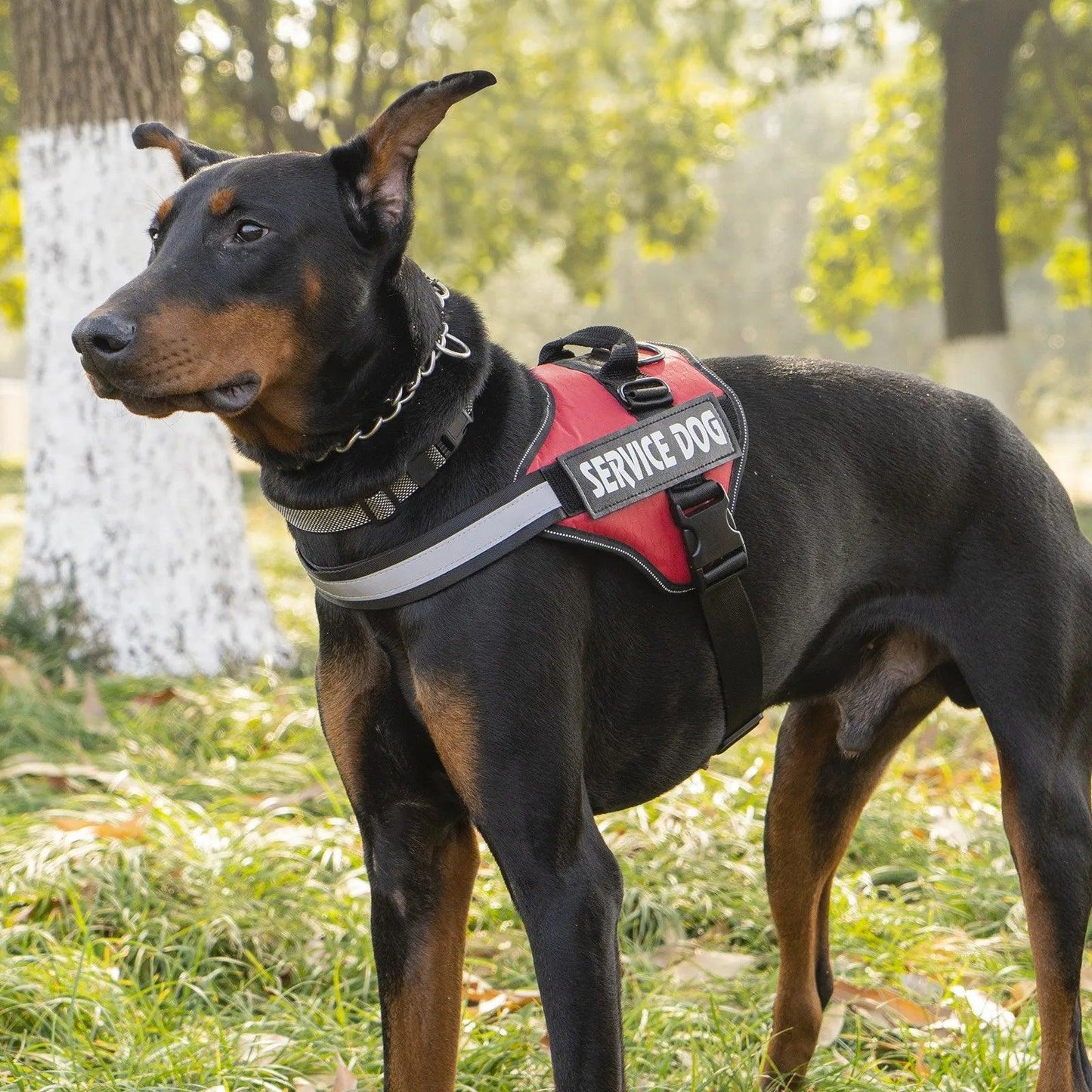 No-Pull Dog Harness Vest