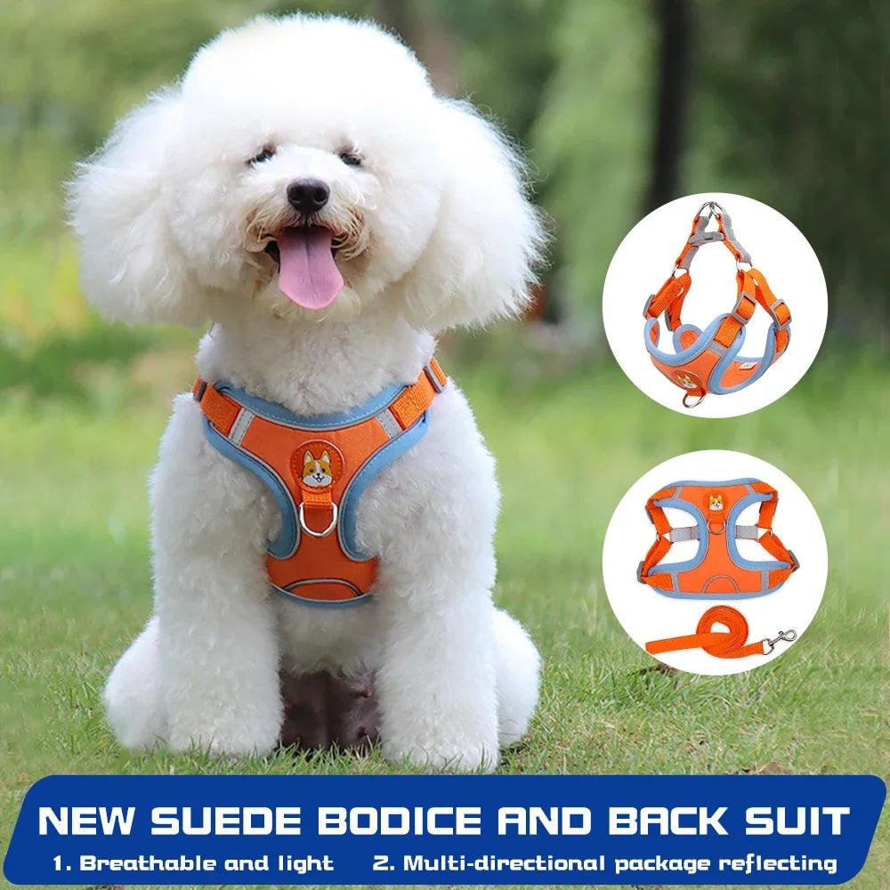 Reflective Dog Harness & Leash