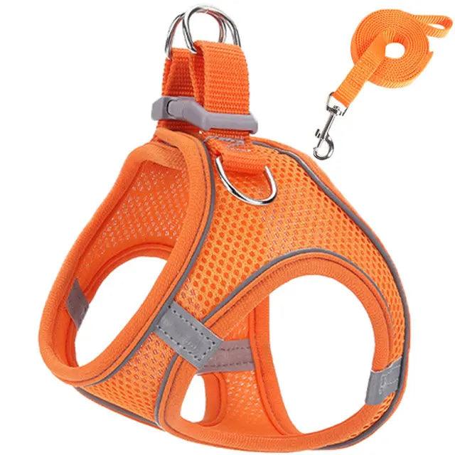 Reflective Cat Harness Set