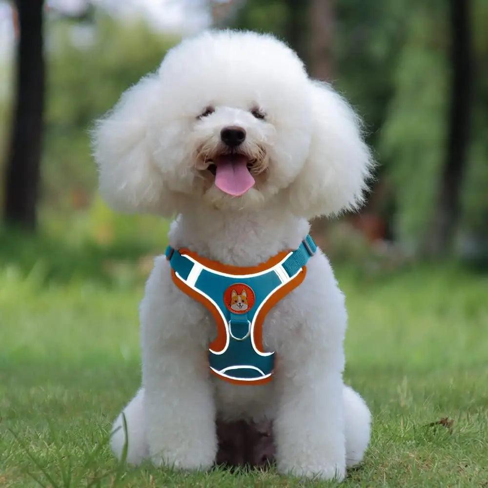 Reflective Pet Harness & Leash