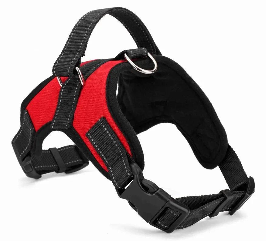 Quick-Release Dog Harness