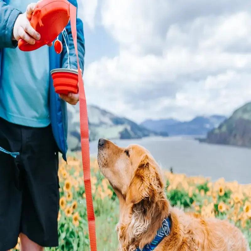 Retractable Leash with Water Storage