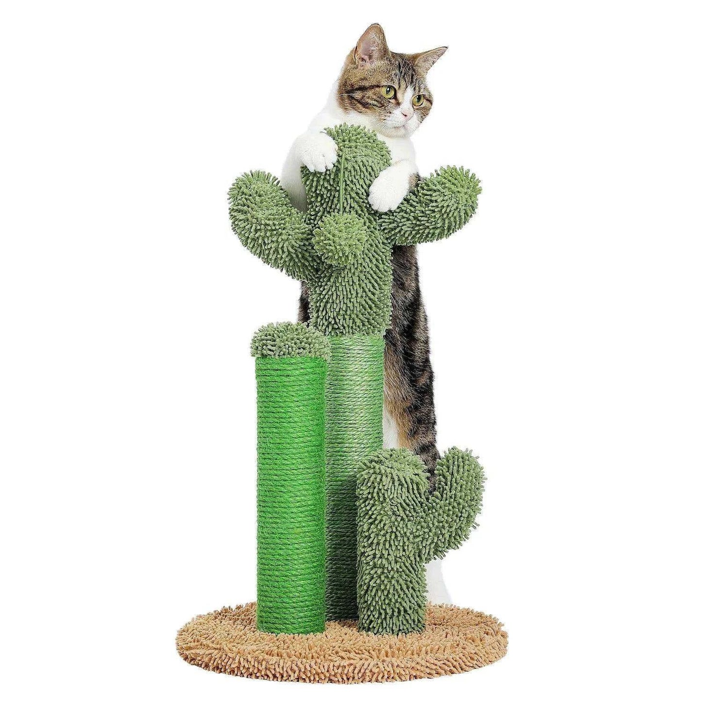 Cactus Cat Scratcher PostDescription:
Transform your cat’s scratching routine into fun! This cactus-shaped cat scratcher features three scratching poles and a dangling interactive ball—perfeRegal Pet PalaceRegal Pet PalaceCactus Cat