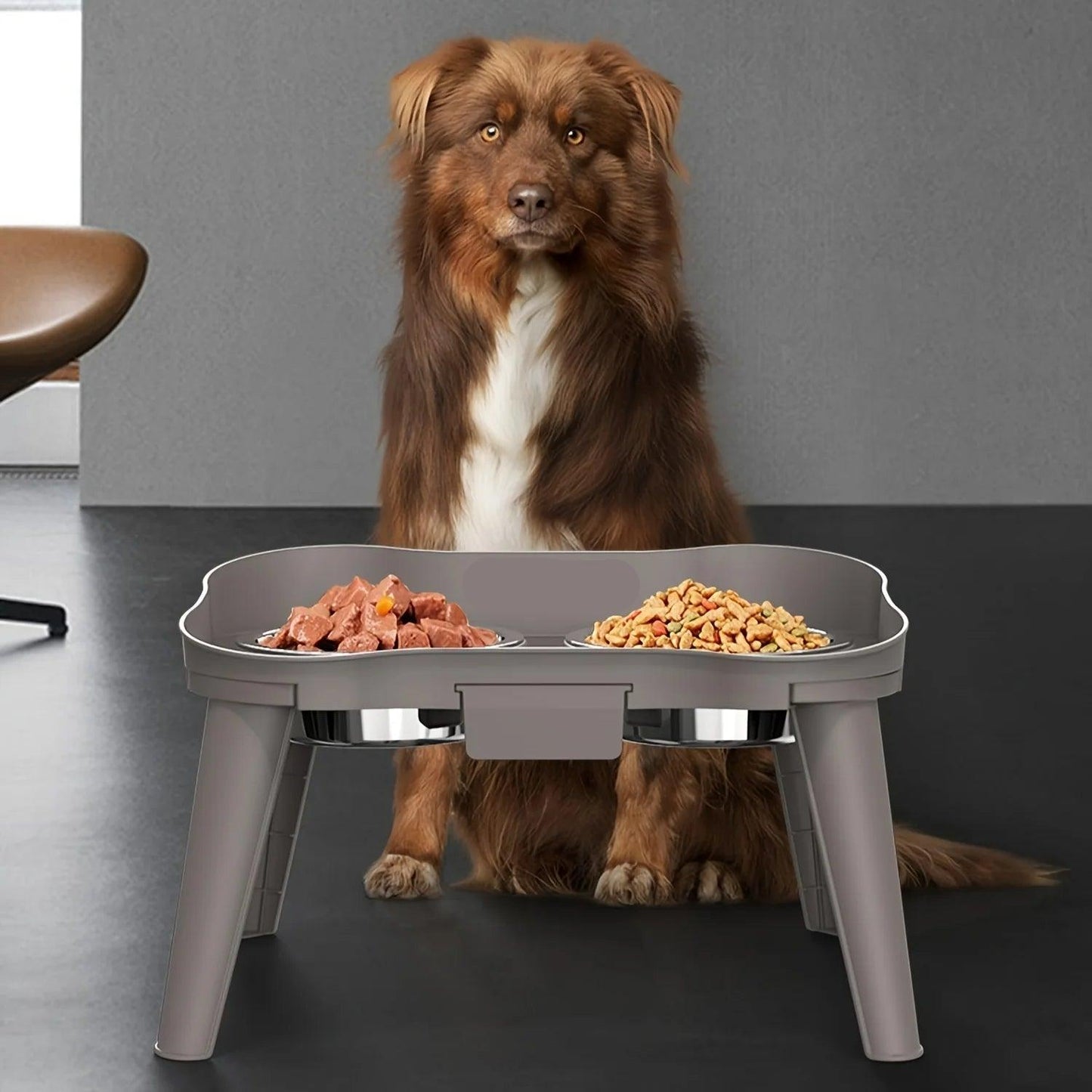 Elevated Dog Feeding Bowls