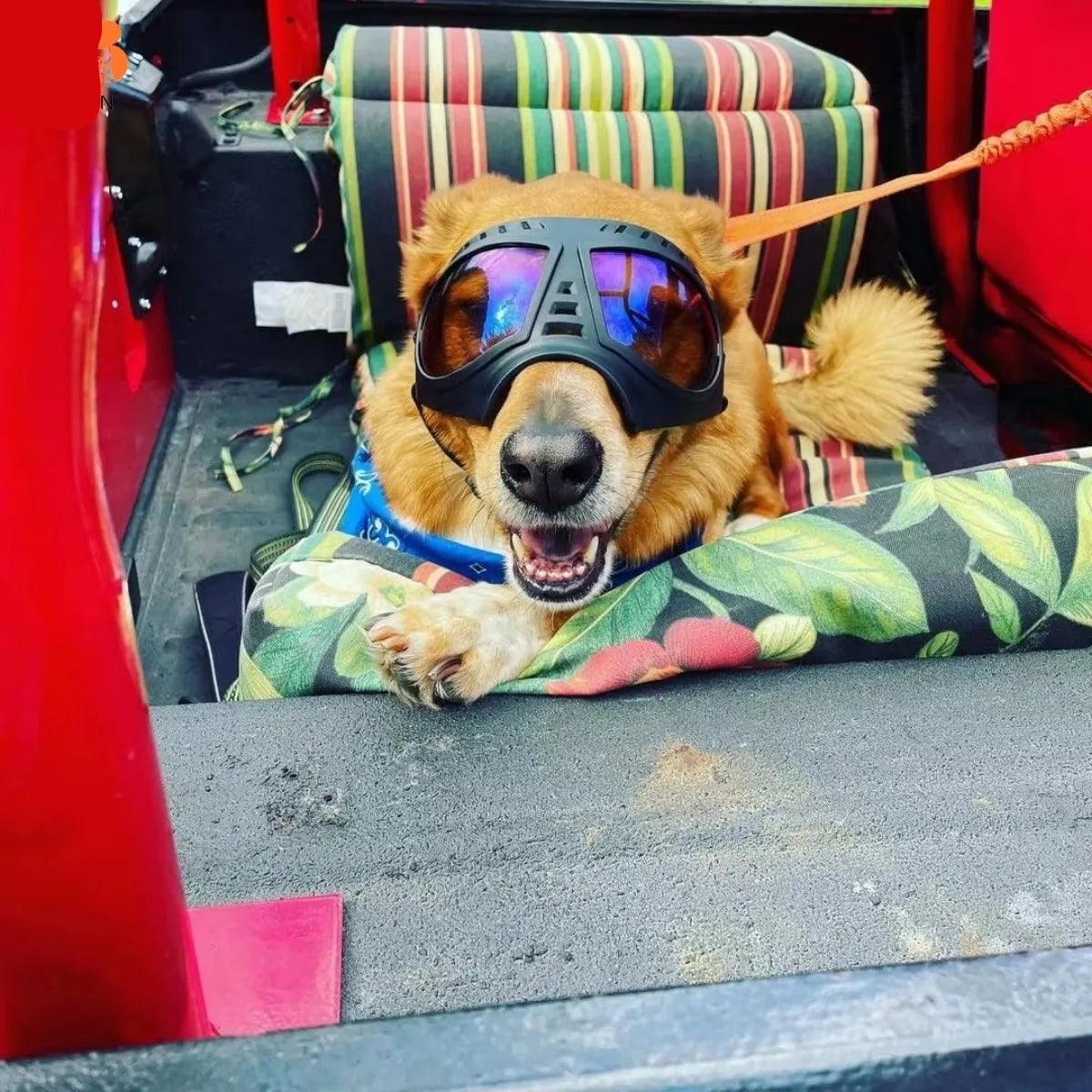 Large Breed Dog Goggles