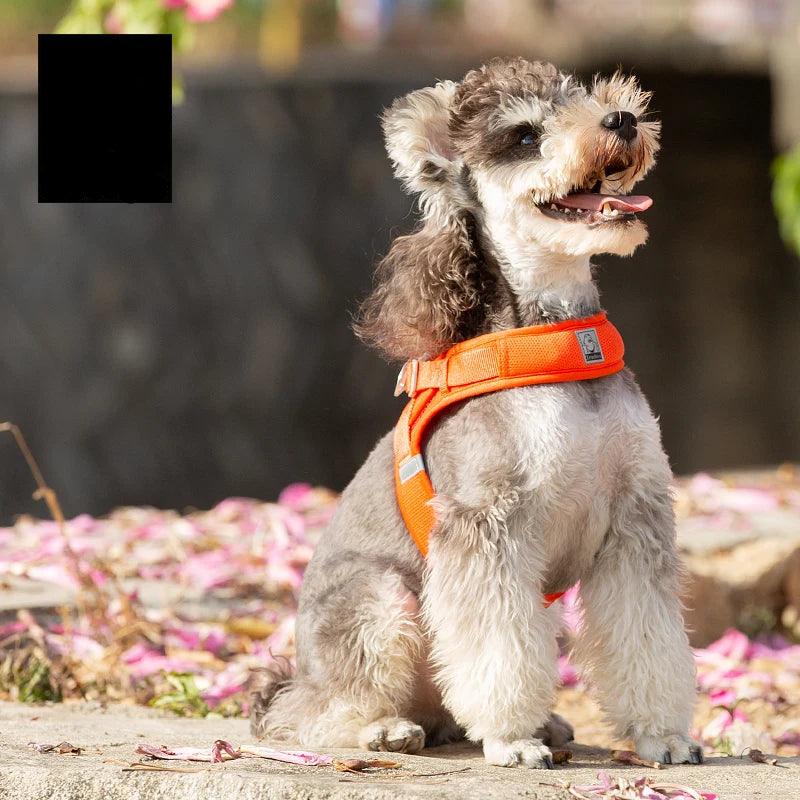 Breathable Pet Harness for Dogs