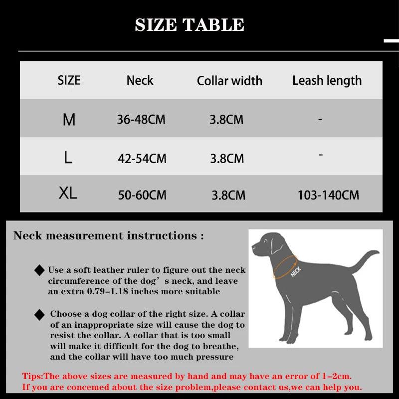 Durable Dog Collar & Leash