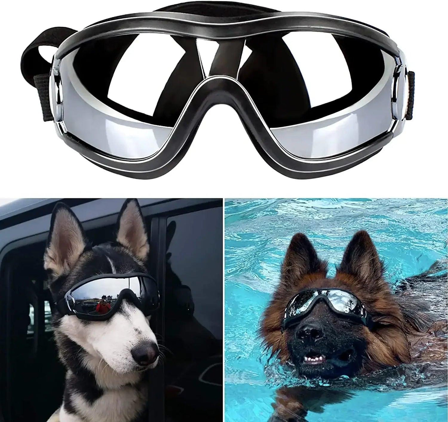 Anti-Fog Dog Snow Goggles