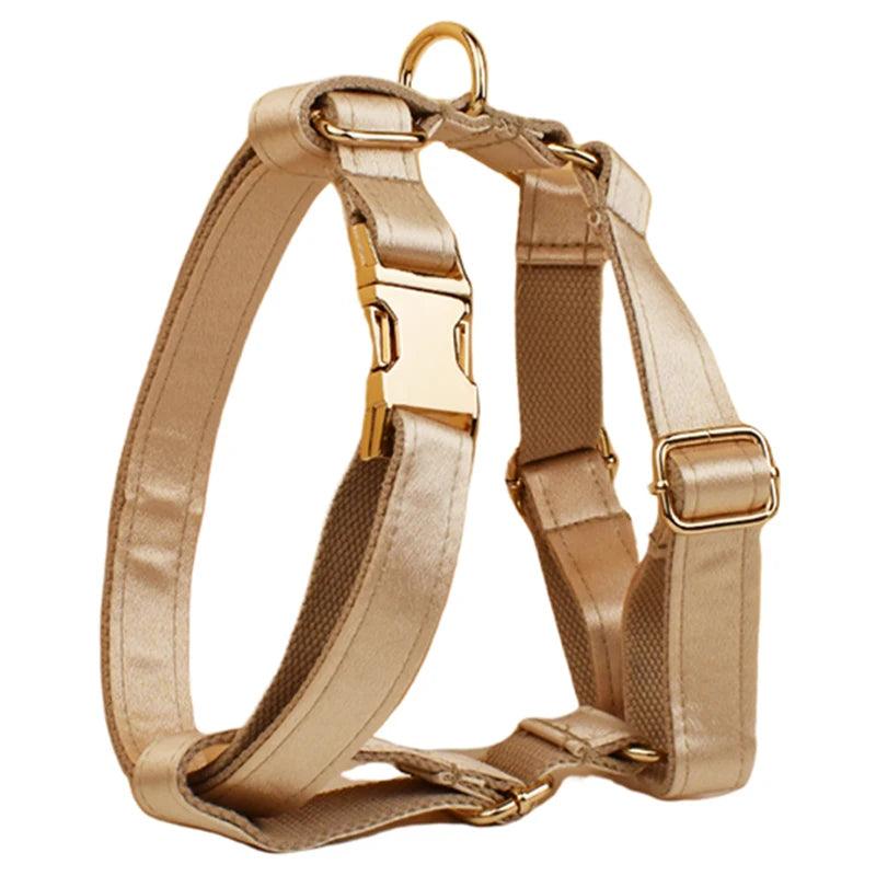Custom Luxury Designer Dog Set