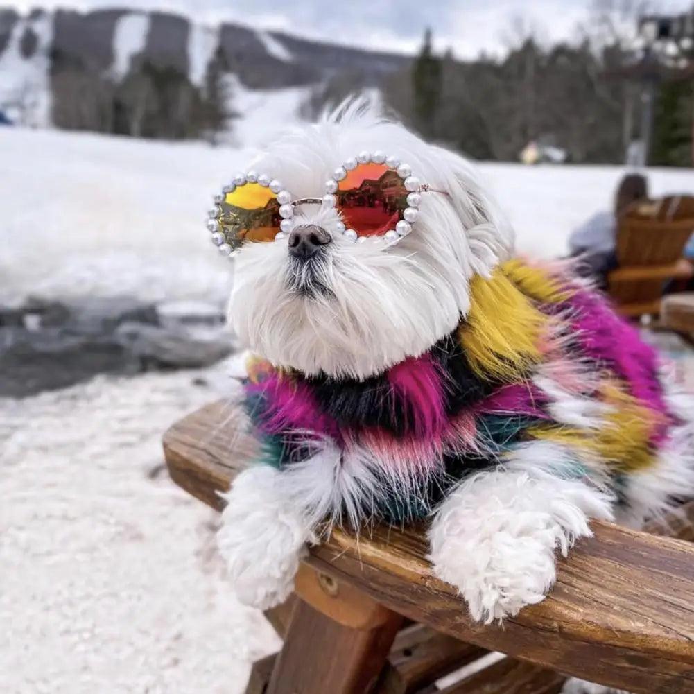 Elegant Pearl Pet Glasses