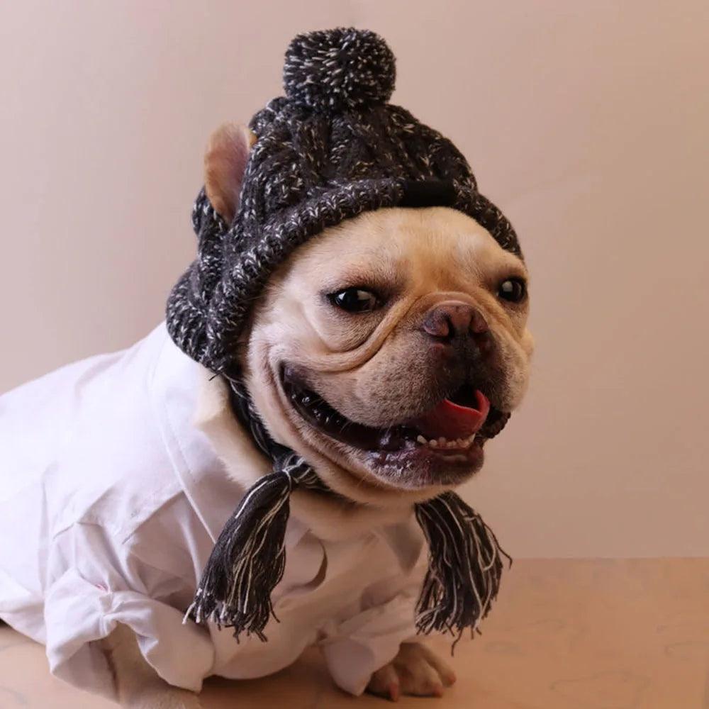 Cozy Knitted Dog Hat