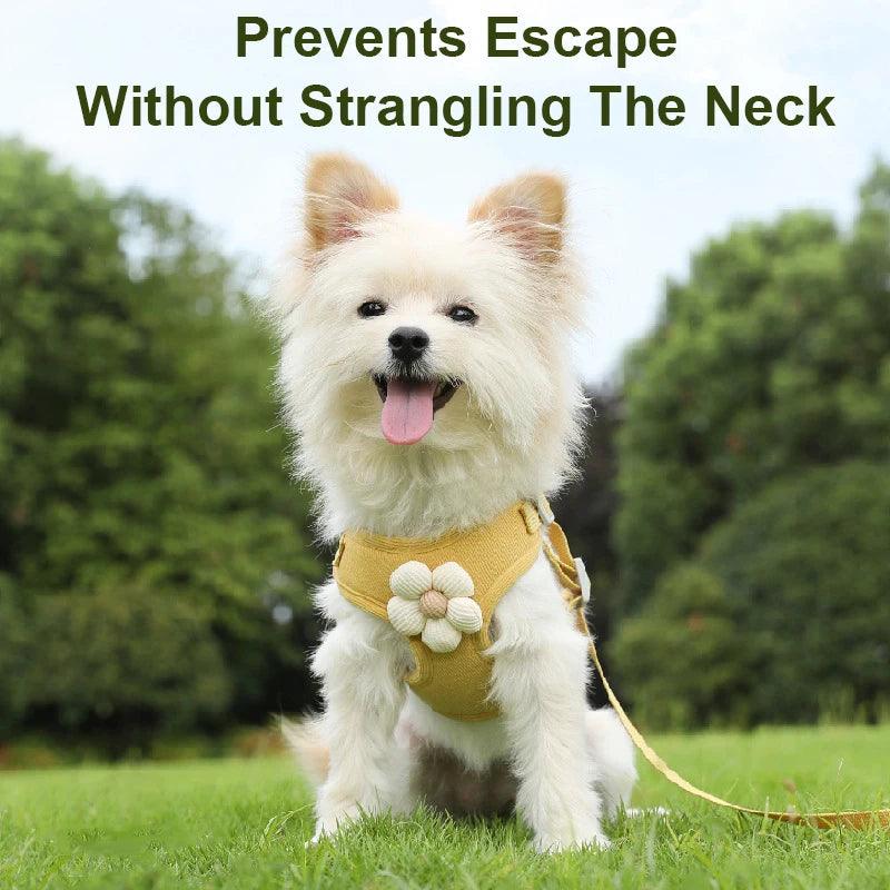Adjustable Dog Harness & Leash