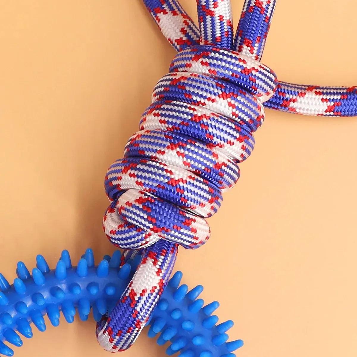 Spiked Ring Dog Training Toy