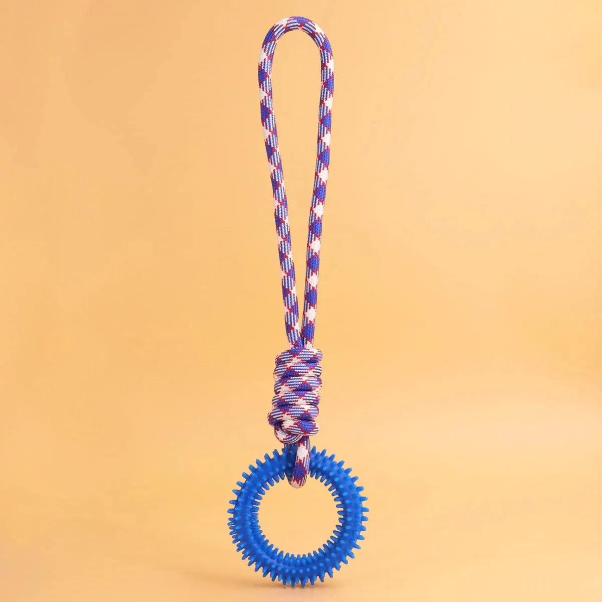 Spiked Ring Dog Training Toy