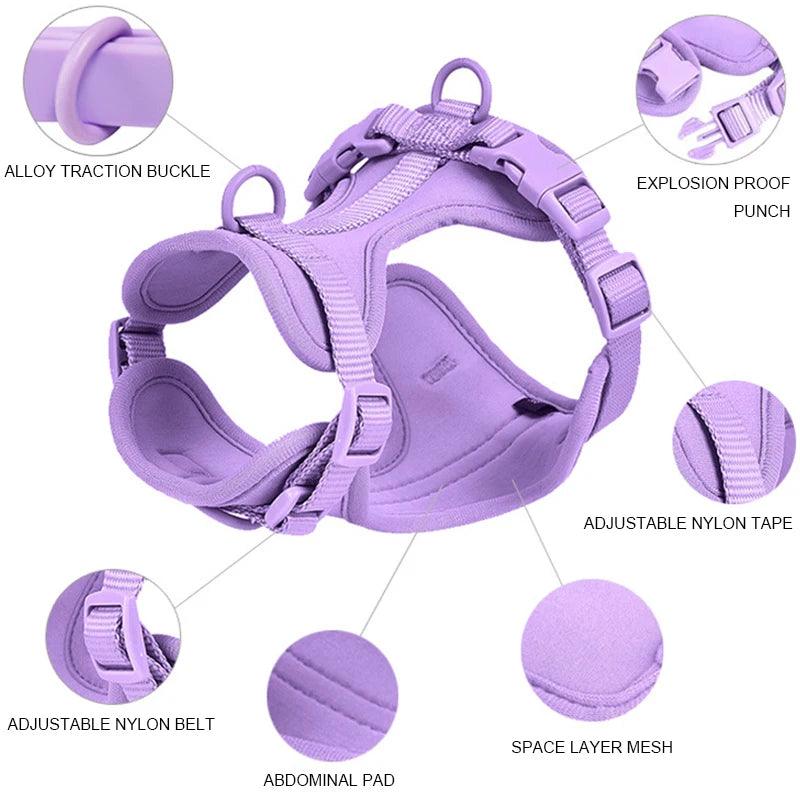 Purple Dog Collar & Leash Set