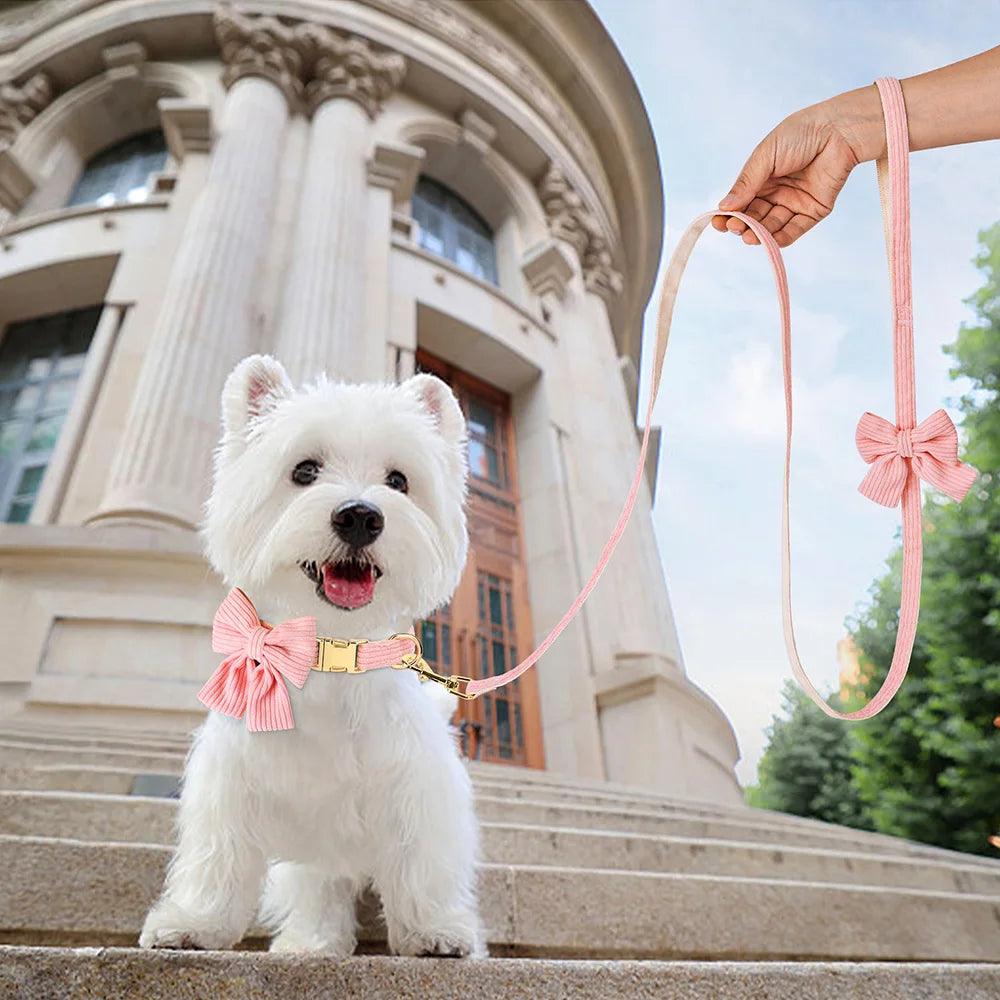 Pink Velvet Dog Collar Set