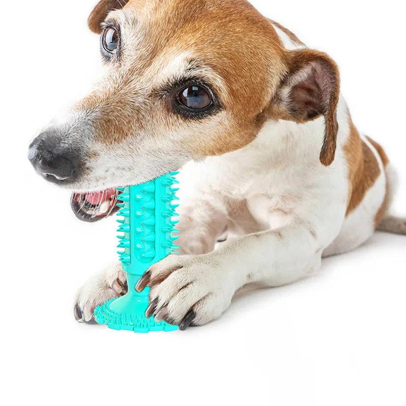 Indestructible Dumbbell Chew Toy