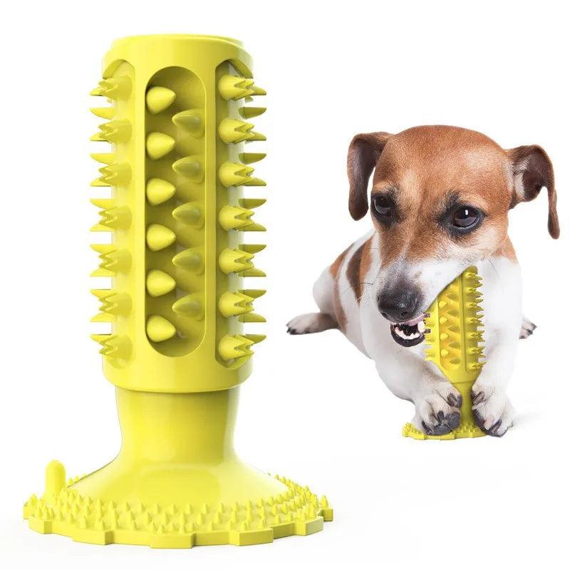 Indestructible Dumbbell Chew Toy
