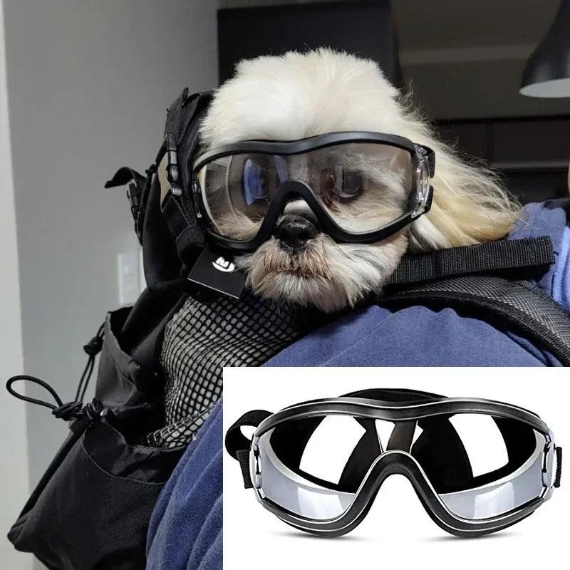 Anti-Fog Dog Ski Goggles
