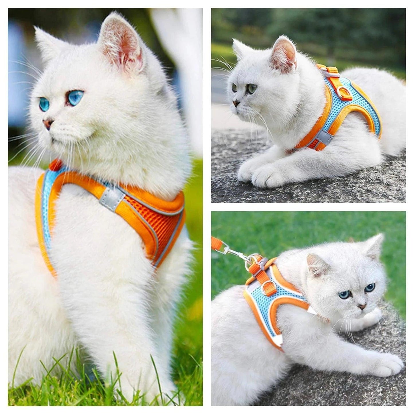Reflective Cat Harness Set