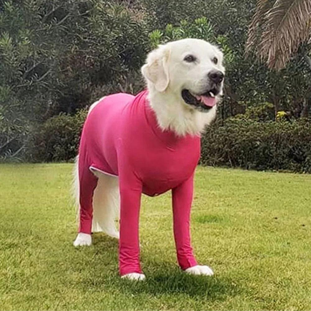 Dog Recovery & Anxiety Suit