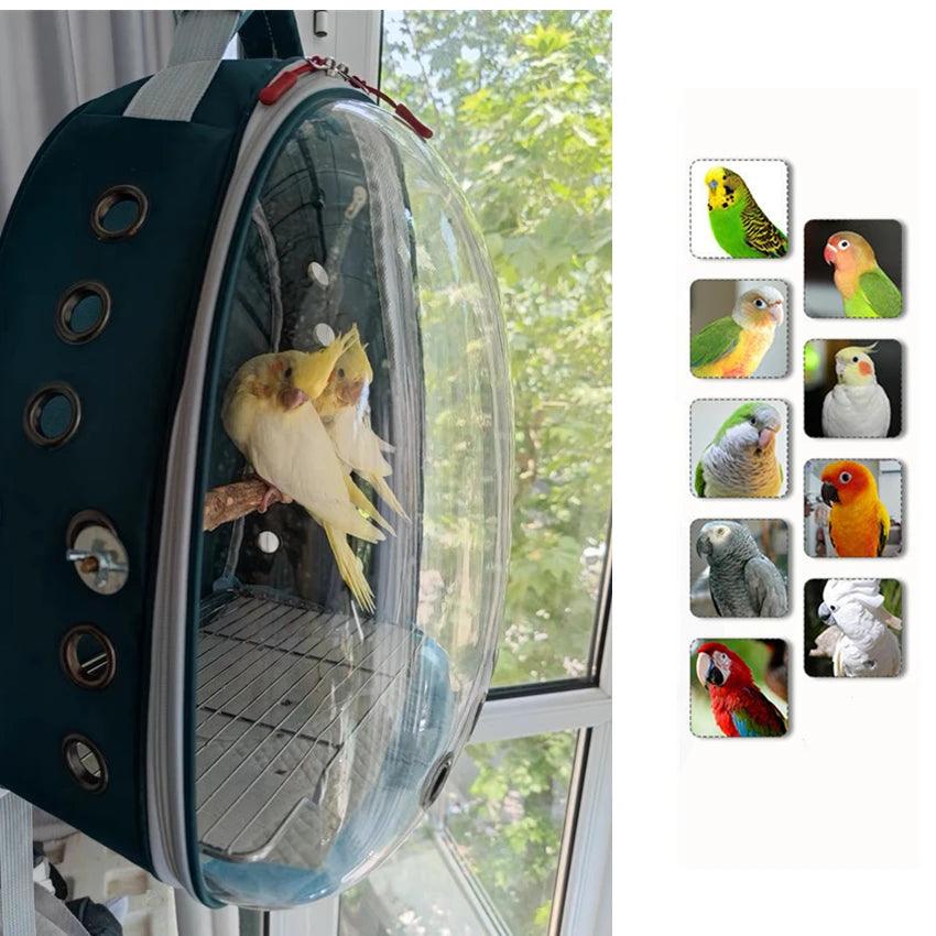 360° View Bird Carrier