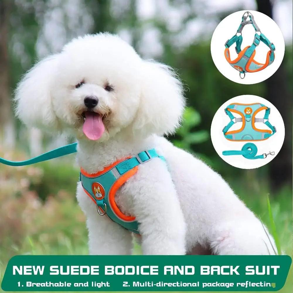 Reflective Pet Harness & Leash