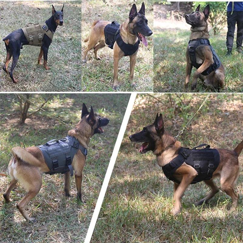 Tactical Dog Harness & Leash
