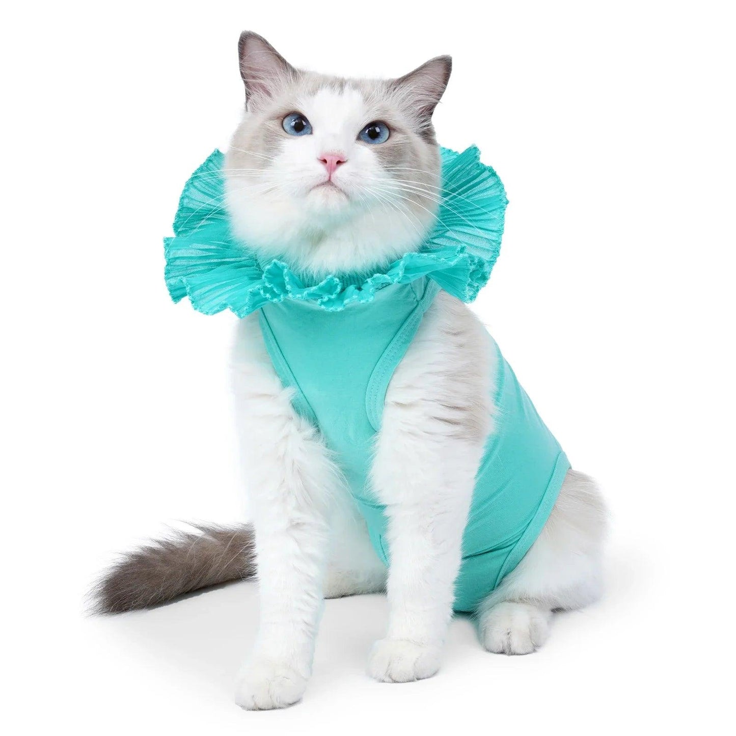 Cat Post-Surgery Recovery Suit