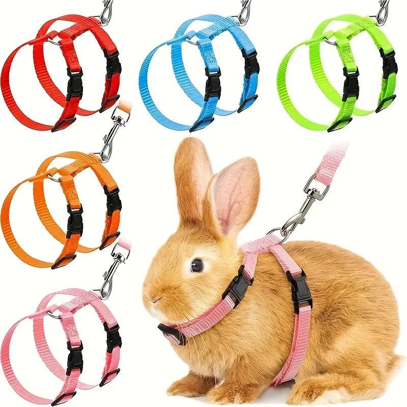 Adjustable Pet Harness & Leash
